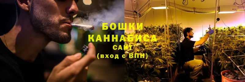 Бошки марихуана THC 21%  Петушки 